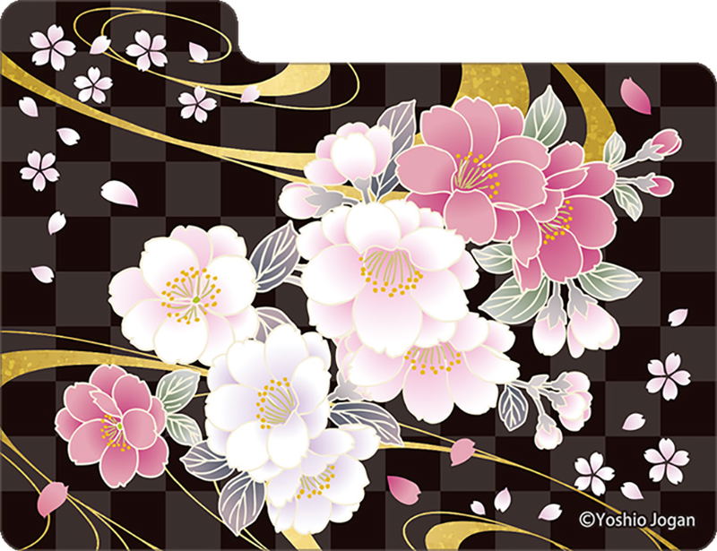 Character Deck Case MAX NEO Ouka Ryoran image 4