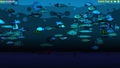 Chillquarium <span class="ext" style="background-color: #2a475e; color: #FFFFFF;">STEAM</span> <span class="ext ext_digital">digital</span> thumbnail 8