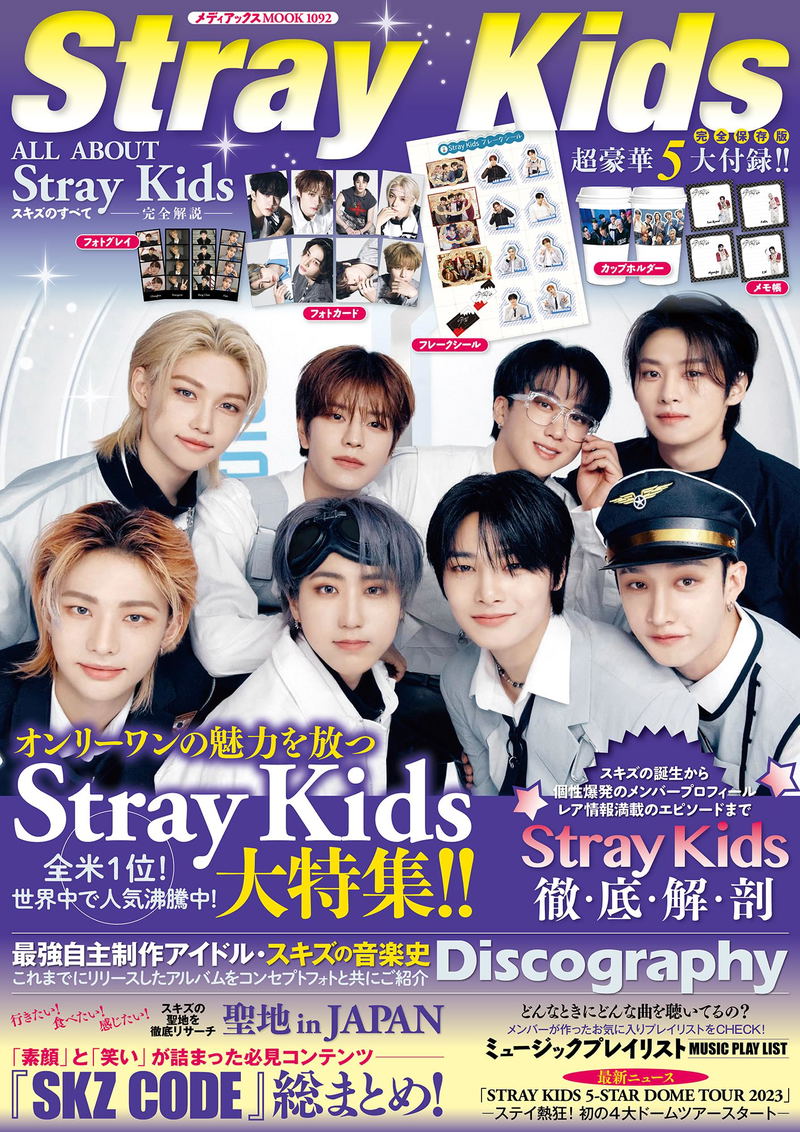 All About Stray Kids image 1