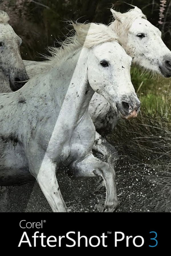 Corel AfterShot Pro 3 Official Website digital for Windows