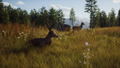 Way of the Hunter [Hunting Season One] thumbnail 2
