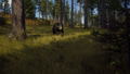 Way of the Hunter [Hunting Season One] thumbnail 6