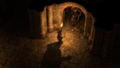 Exanima <span class="ext" style="background-color: #2a475e; color: #FFFFFF;">STEAM</span> <span class="ext ext_digital">digital</span> thumbnail 8