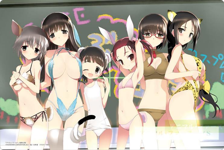 Bushiroad Rubber Mat Collection V2 Vol. 1004 Dengeki Bunko Accel World Signal Fire at the Water's Edge image 1