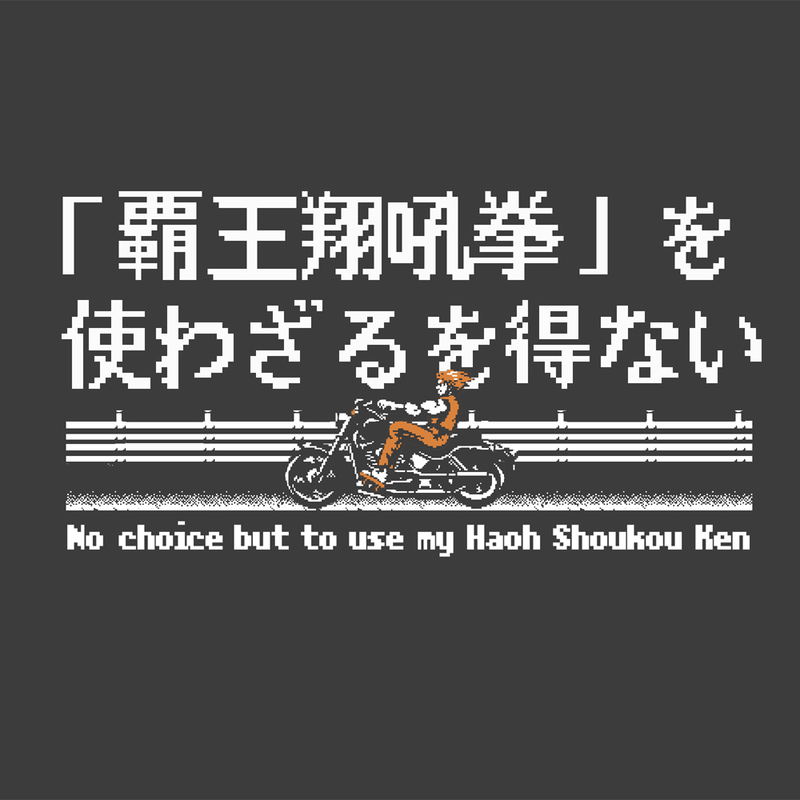 Art Of Fighting - No Choice But To Use My Haoh Shoukou Ken T-shirt (Sumi | Size L) image 2