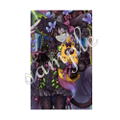 Dream Meister And The Recollected Black Fairy Shiny Card Collection Vol. 3 (Set of 12 Packs) thumbnail 13