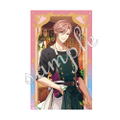Dream Meister And The Recollected Black Fairy Shiny Card Collection Vol. 3 (Set of 12 Packs) thumbnail 2