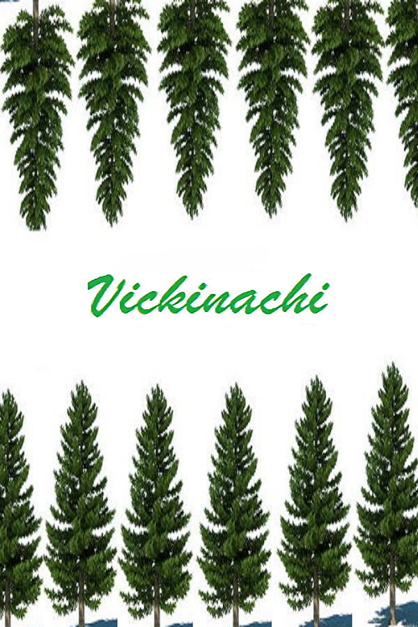 Vickinachi STEAM digital — Import Game Deal