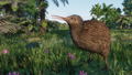 Planet Zoo: Oceania Pack (DLC) <span class="ext" style="background-color: #B0000F; color: #FFFFFF;">DLC</span> <span class="ext" style="background-color: #2a475e; color: #FFFFFF;">STEAM</span> <span class="ext ext_digital">digital</span> thumbnail 9