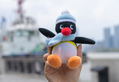 Pingu Niginigi Mascot thumbnail 4
