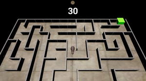 Deep Maze_