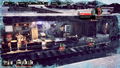 Pandemic Train <span class="ext" style="background-color: #2a475e; color: #FFFFFF;">STEAM</span> <span class="ext ext_digital">digital</span> thumbnail 13