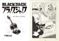Black Jack Missing Pieces thumbnail 2