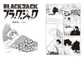 Black Jack Missing Pieces thumbnail 3