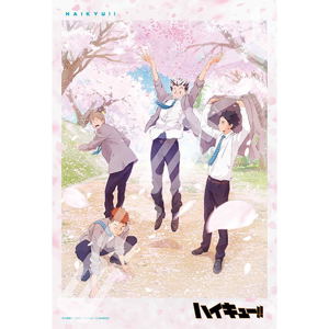 Haikyu!! Jigsaw Puzzle 300 Piece 300-3068 Spring Full Bloom_