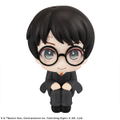 Look Up Series Harry Potter Harry Potter thumbnail 2