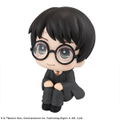 Look Up Series Harry Potter Harry Potter thumbnail 3