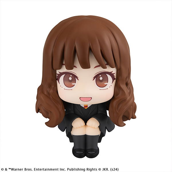 Look Up Series Harry Potter Hermione Granger image 2