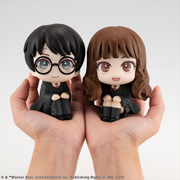 Look Up Series Harry Potter Hermione Granger image 6