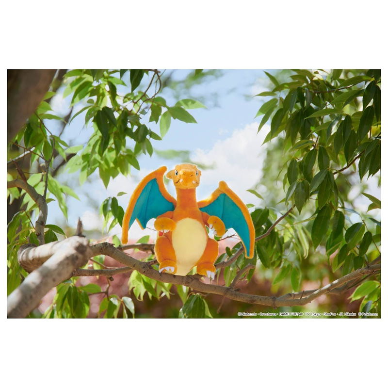 Pokemon Get Plush - Charizard image 4