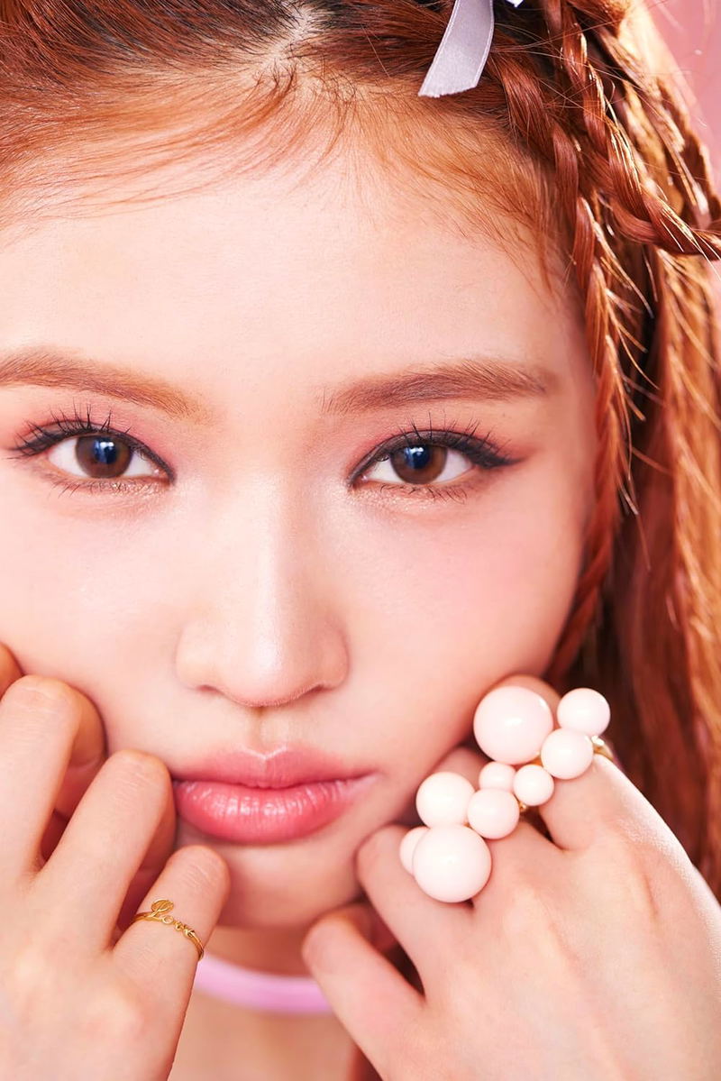 Wonjungyo Korea Makeup Book image 4