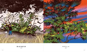 Tomidoron: The Art Of Tomii Masako