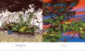Tomidoron: The Art Of Tomii Masako thumbnail 2