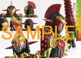 Kamen Rider Gaim Special Perfect Book Gaisen [Reprint / Revised Edition] thumbnail 4