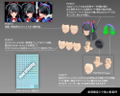 Megami Device 1/1 Scale Plastic Model Kit: Buster Doll Knight thumbnail 21