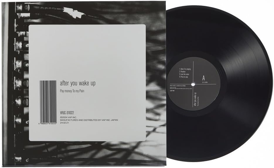 After You Wake Up [Limited Edition] (Vinyl) (Pay Money To My Pain)