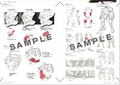 Border Break Final Setting Material Collection thumbnail 3