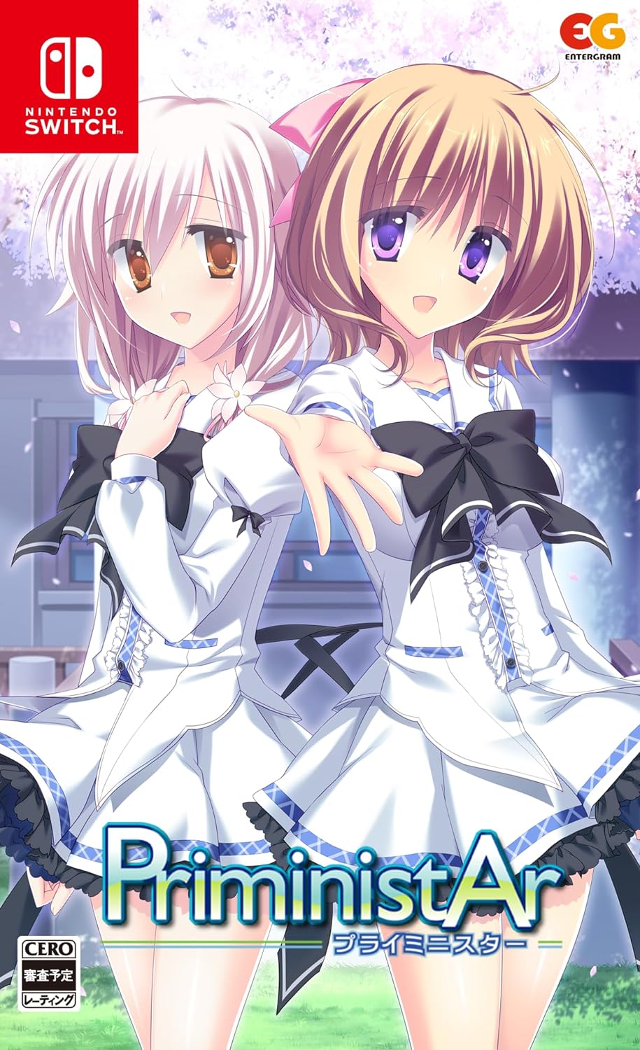 PriministAr for Nintendo Switch, Nintendo Switch 2