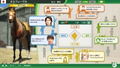 Winning Post 10 2024 [Premium Box] (Limited Edition) thumbnail 5