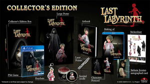 Last Labyrinth [Collector's Edition]_