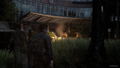 The Last of Us Part II Remastered (Multi-Language) thumbnail 13