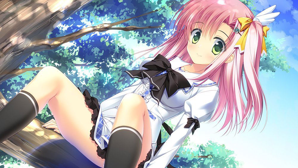 PriministAr + Strawberry Nauts Set for Nintendo Switch, Nintendo