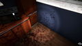 House Flipper <span class="ext" style="background-color: #2a475e; color: #FFFFFF;">STEAM</span> <span class="ext ext_digital">digital</span> thumbnail 11