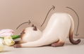Shitauke no Neko Siamese Cat thumbnail 3
