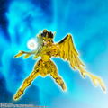 Saint Cloth Myth EX: Sagittarius Seiya -Successor of the Golden Cloth- thumbnail 9