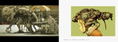 Tatsuyuki Tanaka's Works Collection Cannabis Works thumbnail 2