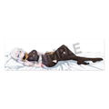 Atelier Ryza: Ever Darkness & The Secret Hideout Soine Dakimakura Cover Lila Decyrus thumbnail 2