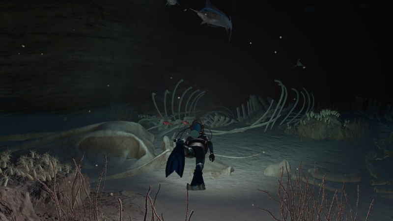 Endless Ocean Luminous image 4