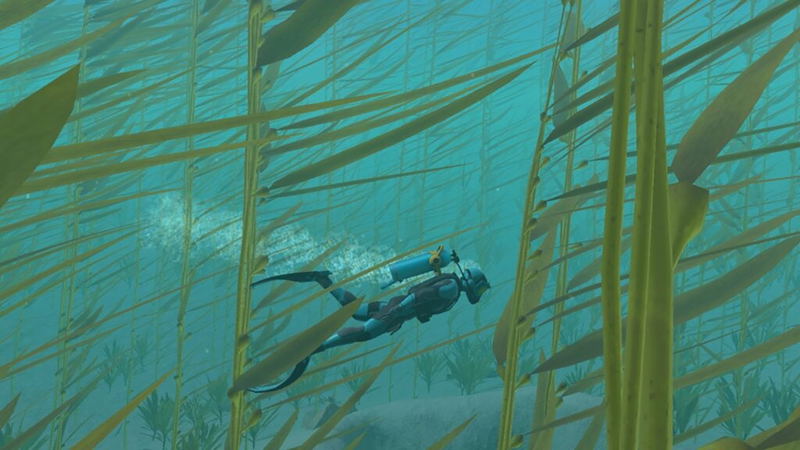 Endless Ocean Luminous image 2
