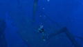 Endless Ocean Luminous thumbnail 3