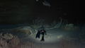 Endless Ocean Luminous thumbnail 4