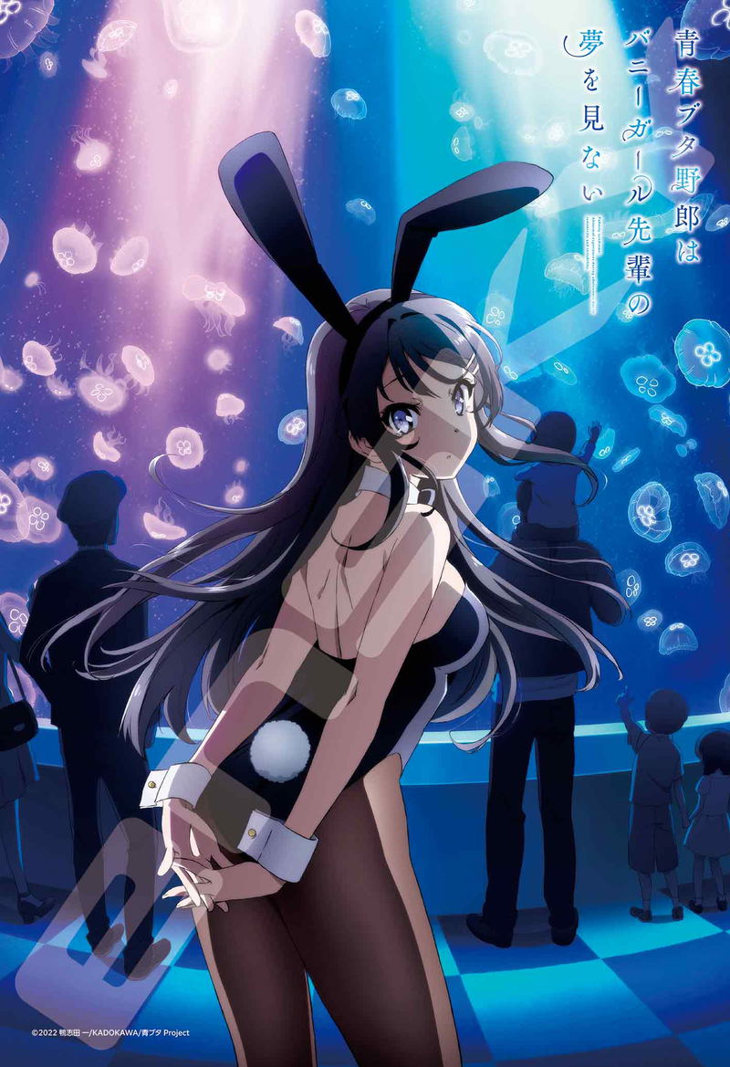Seishun Buta Yaro Wa Bunny Girl-senpai No Yume Wo Minai Jigsaw Puzzle 300 Piece 300-3091 Sakurajima Mai image 1