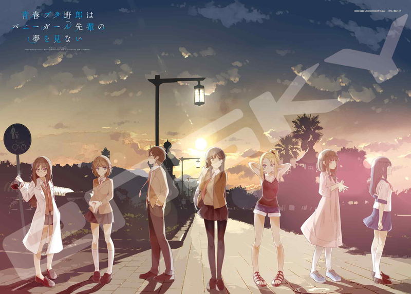 Seishun Buta Yaro Wa Bunny Girl-senpai No Yume Wo Minai Jigsaw Puzzle 500 Piece 500-573 Seishun Buta Yaro Wa Bunny Girl-senpai No Yume Wo Minai image 1