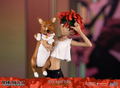 Cowboy Bebop 1/8 Scale Resin Statue: Ed and Ein [Standard Edition] thumbnail 22