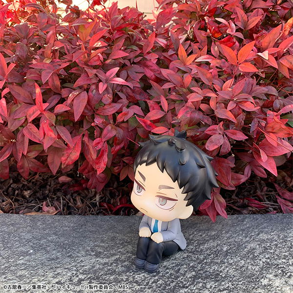 Look Up Series Haikyu!! Akaashi Keiji image 7