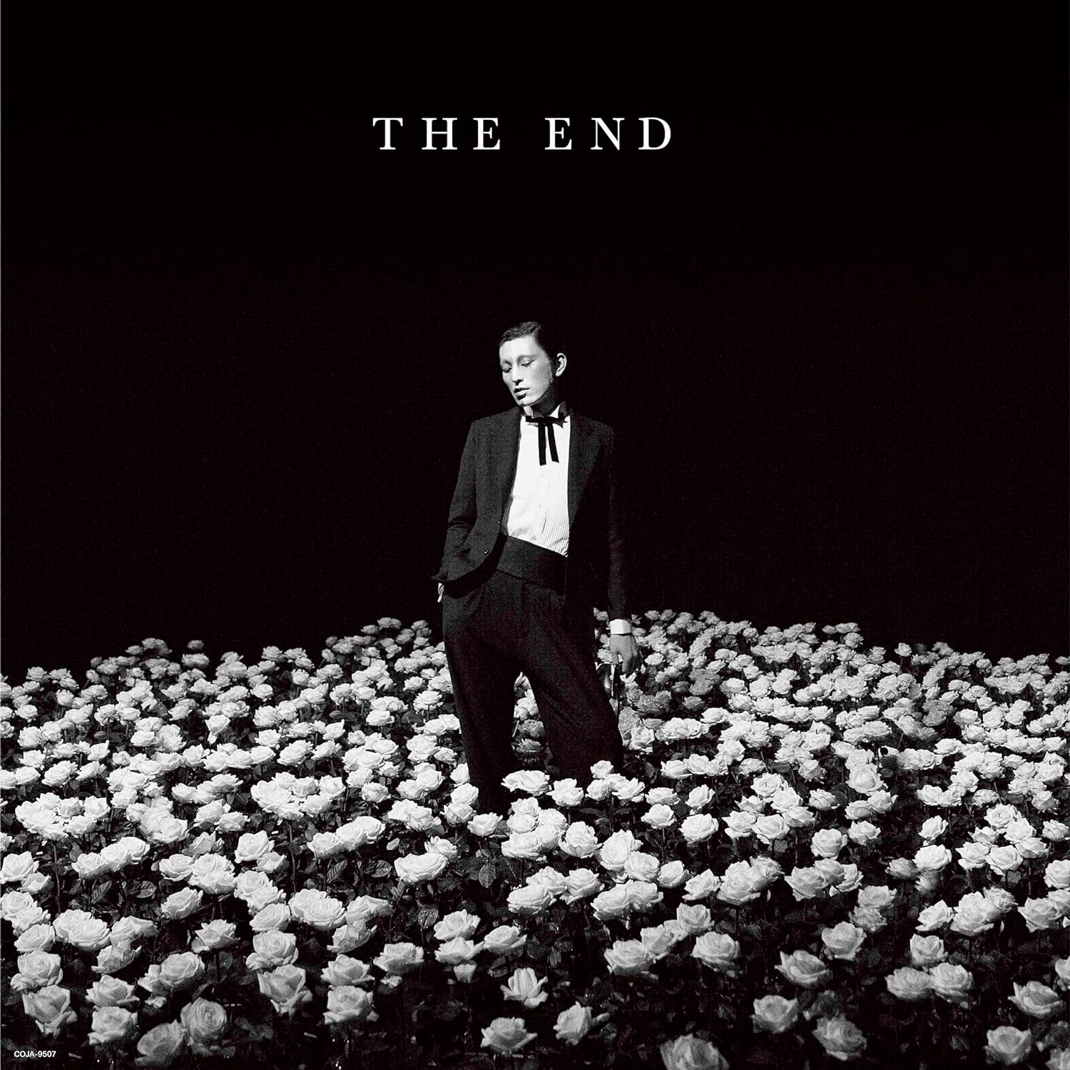 The End [Limited Edition] (Vinyl) — Import Game Deal